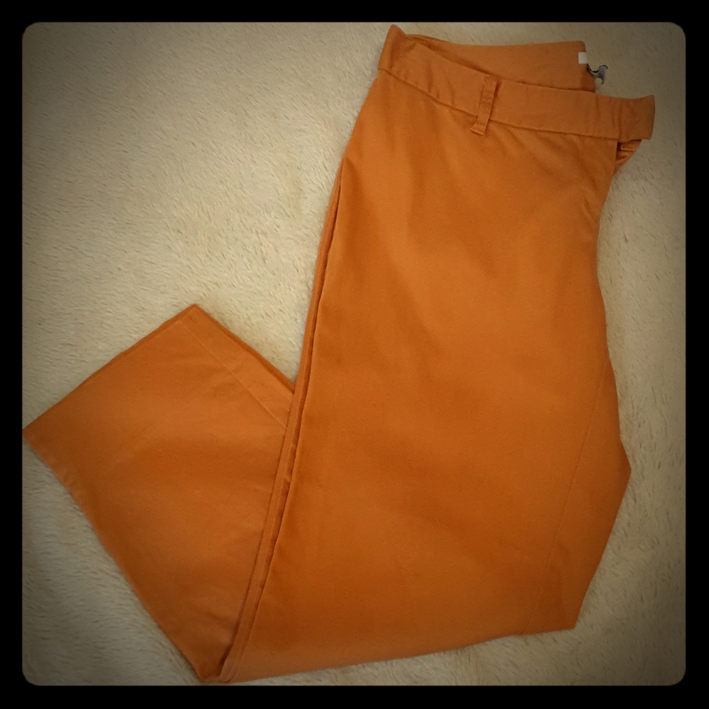 barIII Capri Pants